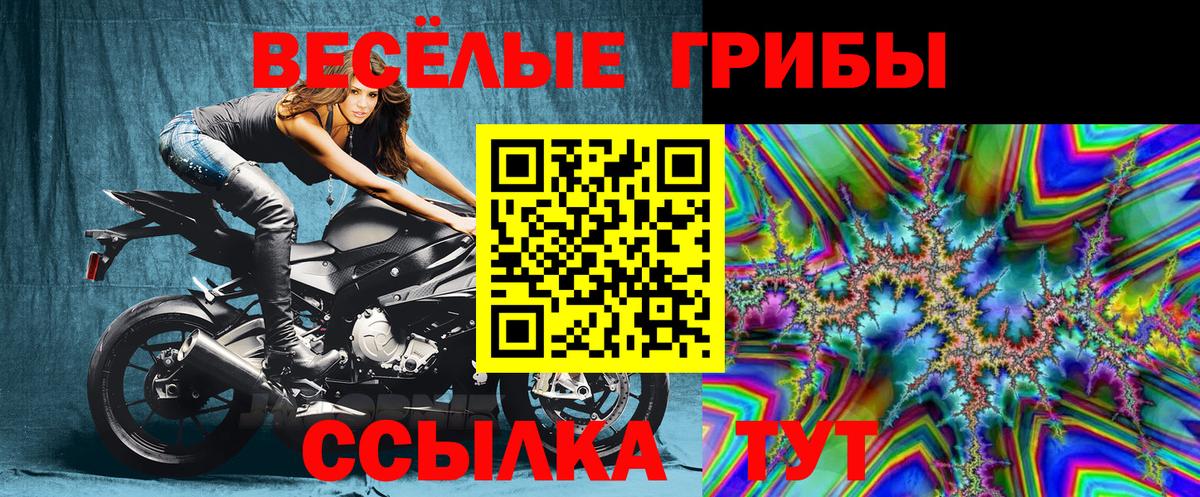 Псилоцибиновые грибы Psilocybine cubensis  Вход с VPN  Вязники 